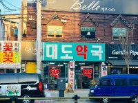 대도약국