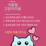 고양이미용연구소