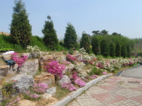 보람복지원