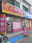 양지공인중개사사무소