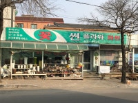 썬플라워화원