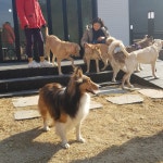 태담이네하우스
