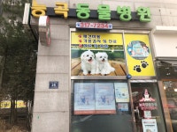 능곡동물병원