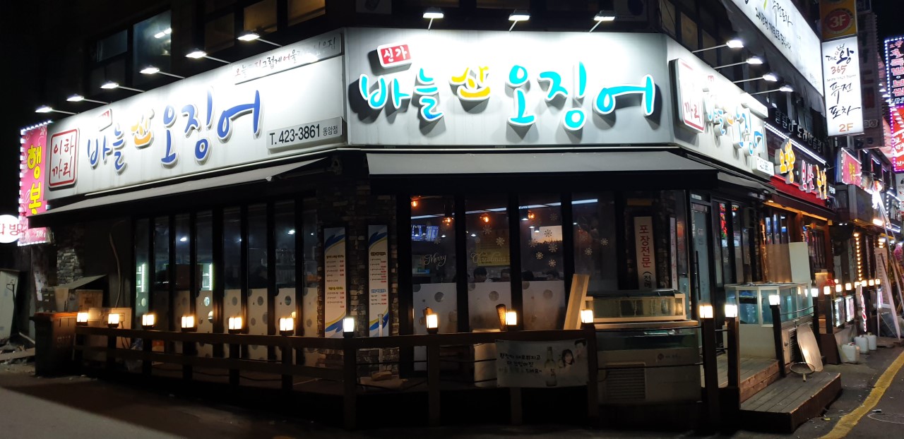 신가바늘산오징어 이미지