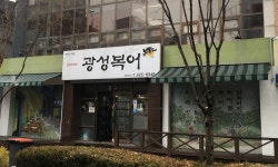 광성복어