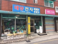 태양전자
