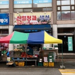 신일청과생선