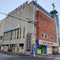 새힘교회