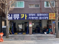 일류카