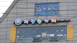 개멋진날