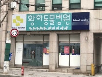 황하동물병원