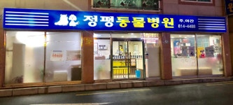 정평동물병원