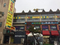 개구리노래세상
