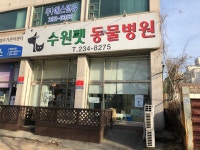 수원펫동물병원