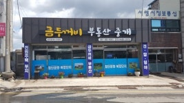 금두꺼비부동산중개