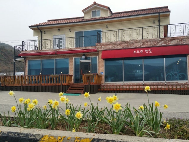 포도랑햇살
