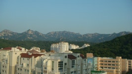 제이공인중개사사무소