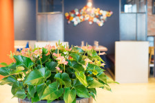 모티마할험프리점