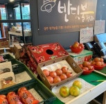 반딧불청과