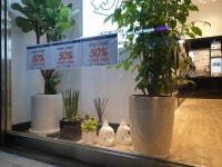 화이트365 강남세곡점