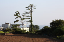 좋은씨앗제주