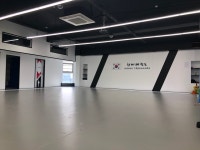 한미태권도
