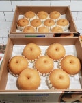 반딧불청과