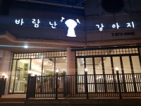 바람난강아지