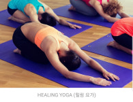 번지요가 & 플라잉요가