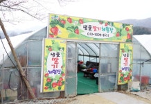 샘물딸기 체험농장
