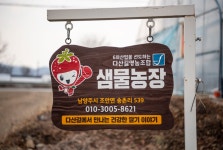 샘물딸기 체험농장