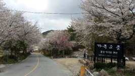 가족소풍 캠핑장
