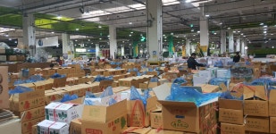 항도청과 433번