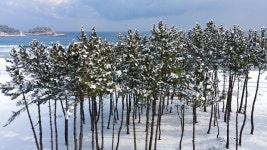 라헨느풀빌라 H