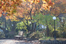 주왕산계곡펜션하얀둥지