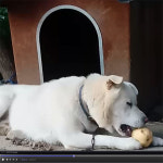 주왕산계곡펜션하얀둥지