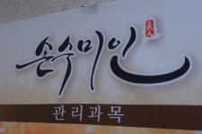 손수미인