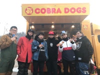 코브라독스