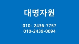 대명자원