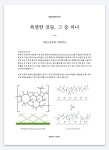 모터쿠마