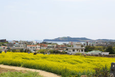 도체비낭게스트하우스