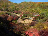 평강팜스테이