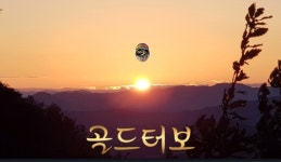 골드카서비스