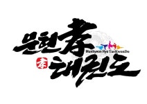 타이탄문현효태권도
