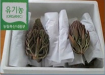 진주하씨농원