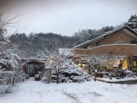 심순네간장게장