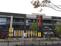 시드니힐