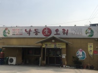 낙동생오리