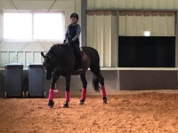 홀스마스터즈승마클럽