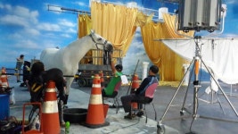 홀스마스터즈승마클럽